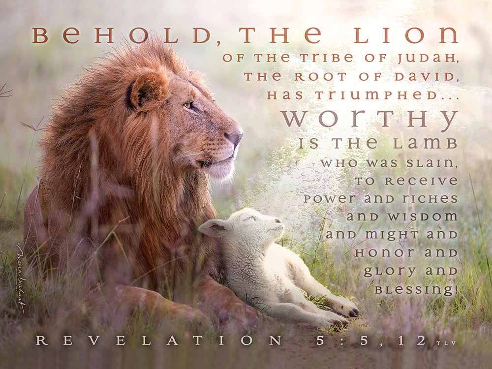 Behold Lion Lamb - premium canvas 40x30 (Children's Ministry)