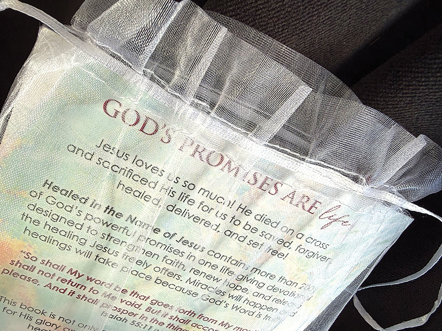 Healed in the Name of Jesus - devotional book