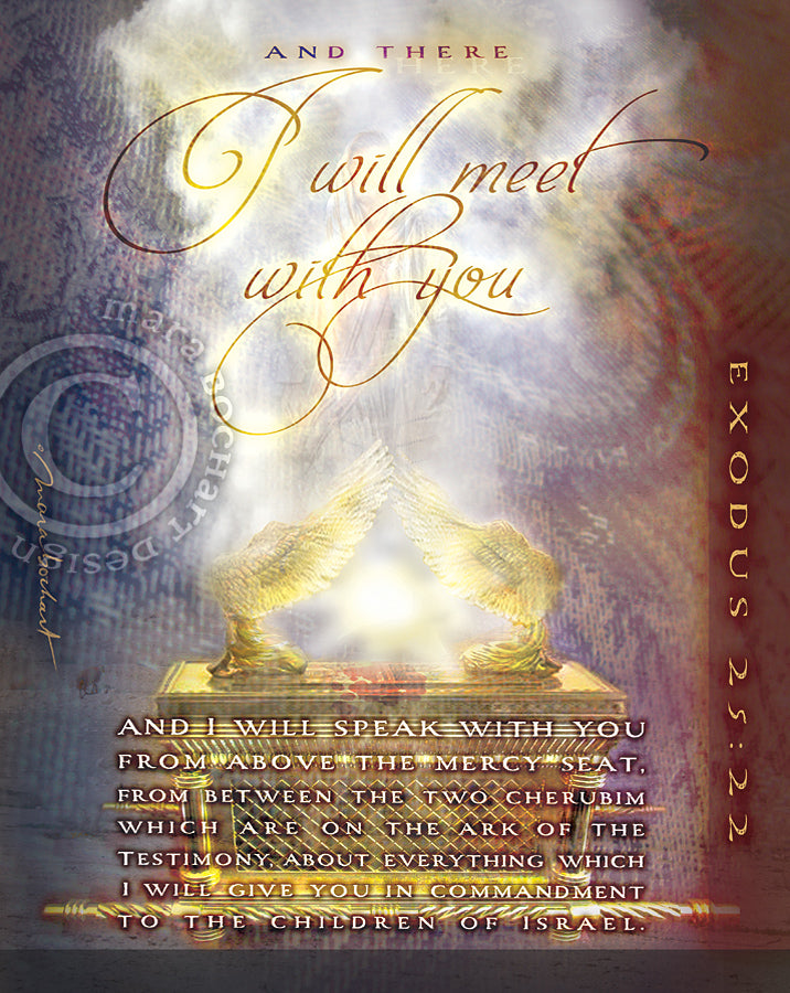 Ark of the Testimony - premium canvas