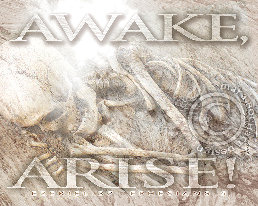 Awake Arise - premium canvas