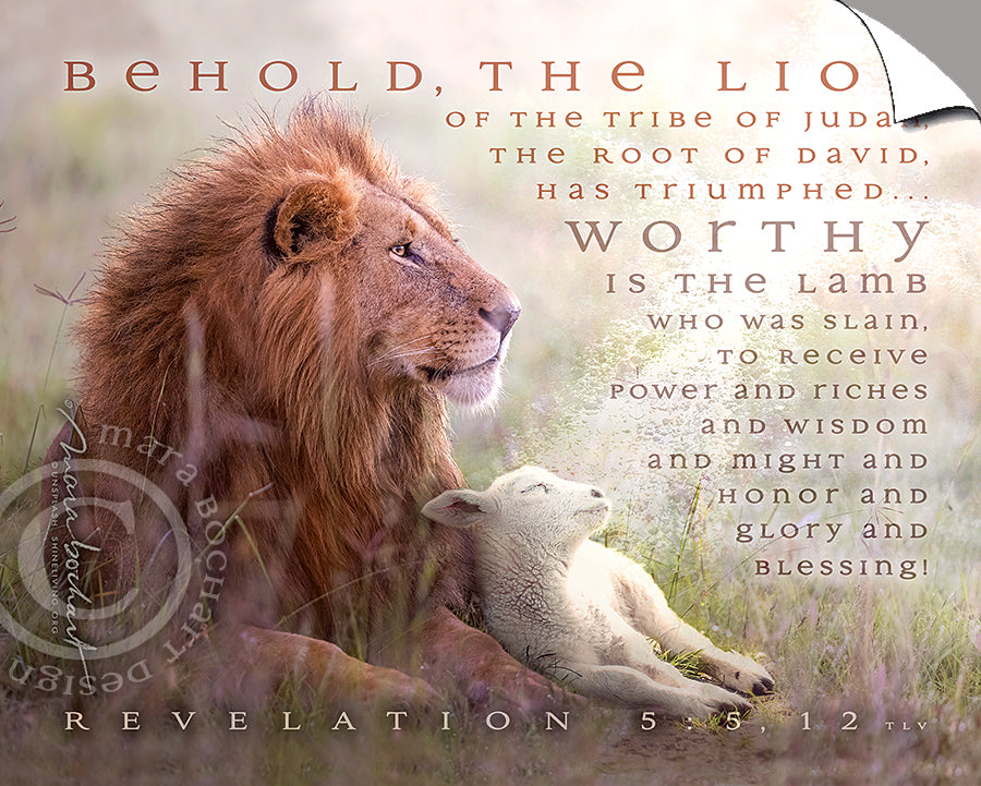Behold Lion Lamb - Peel & Stick