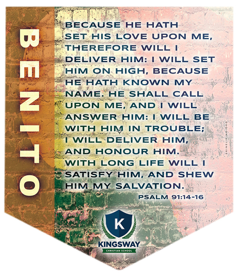 Senior Pennants - personalized