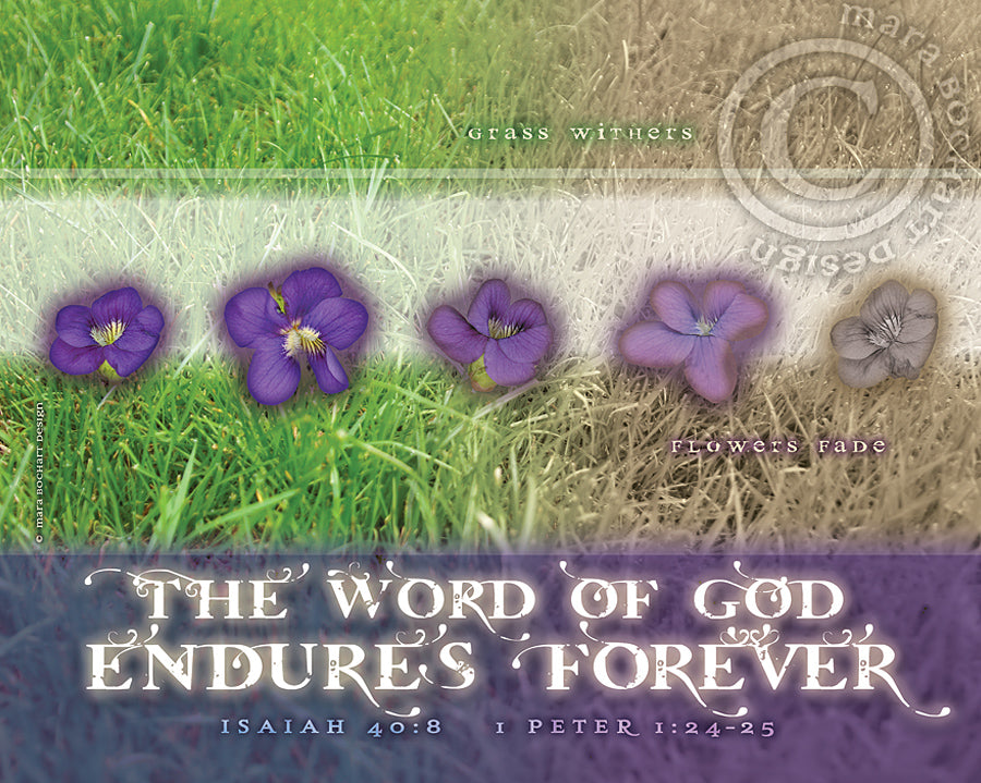 Endures Forever - premium canvas