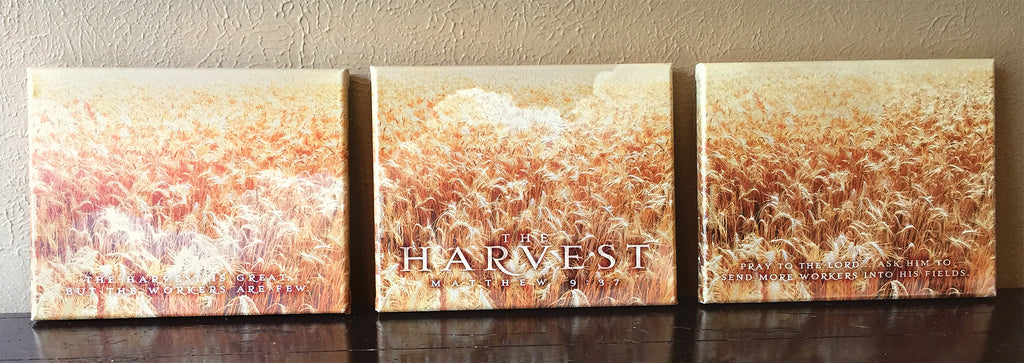 The Harvest - triptych - premium canvases