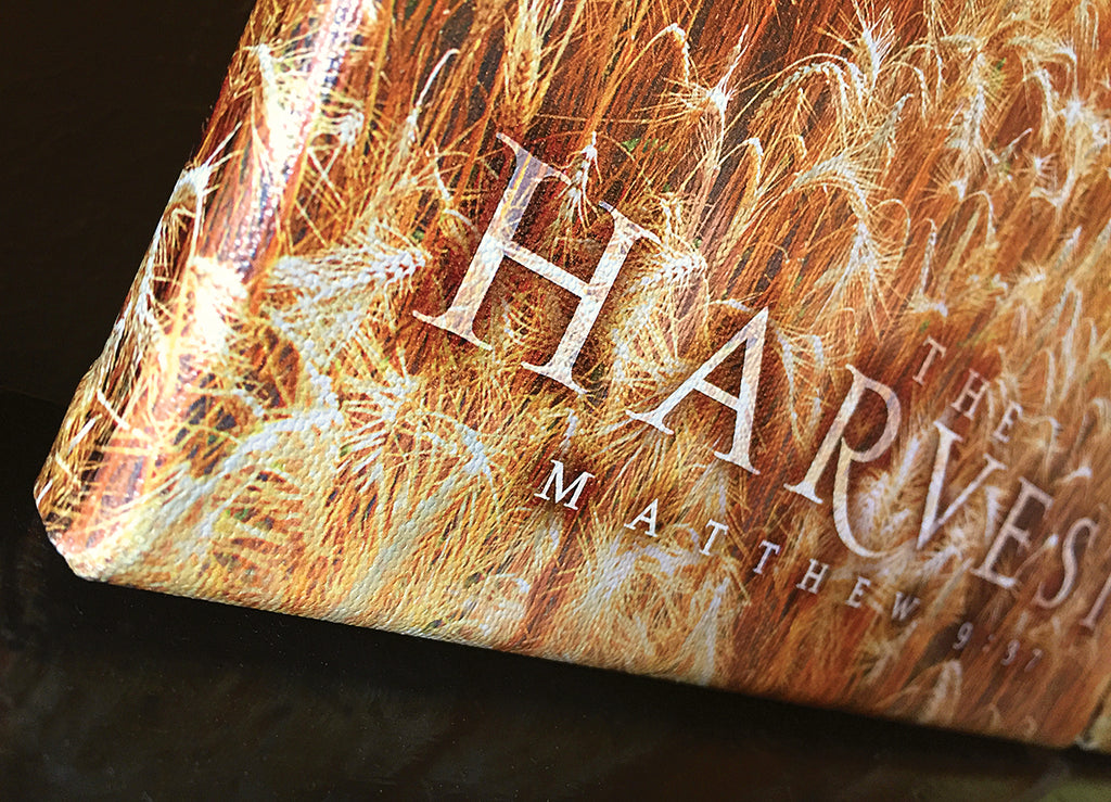 The Harvest - triptych - premium canvases