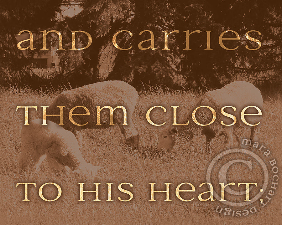 He Carries