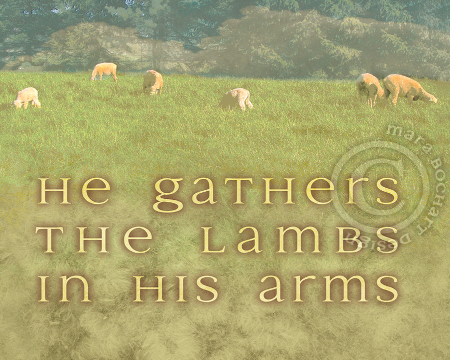 Coordinating Design: He Gathers