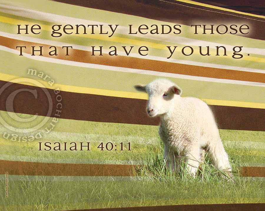Coordinating Design: He Leads