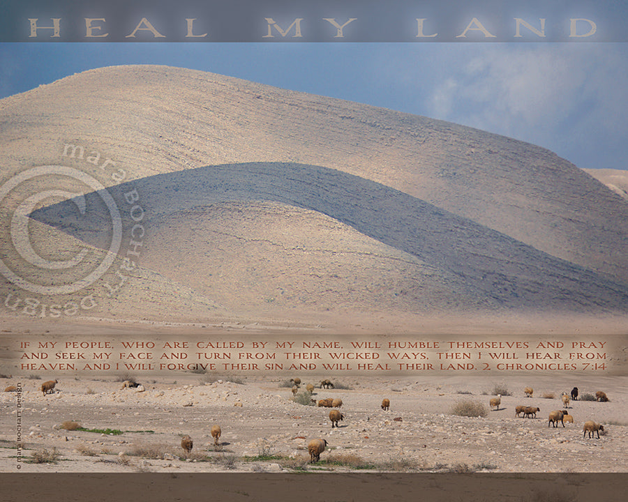 Heal My Land - premium canvas