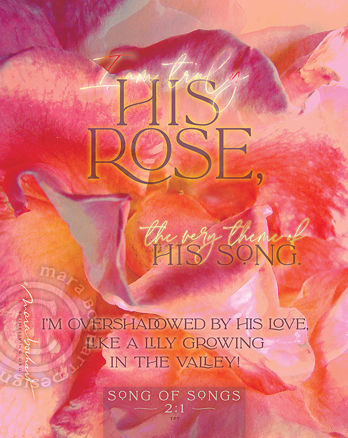 His Rose - premium canvas