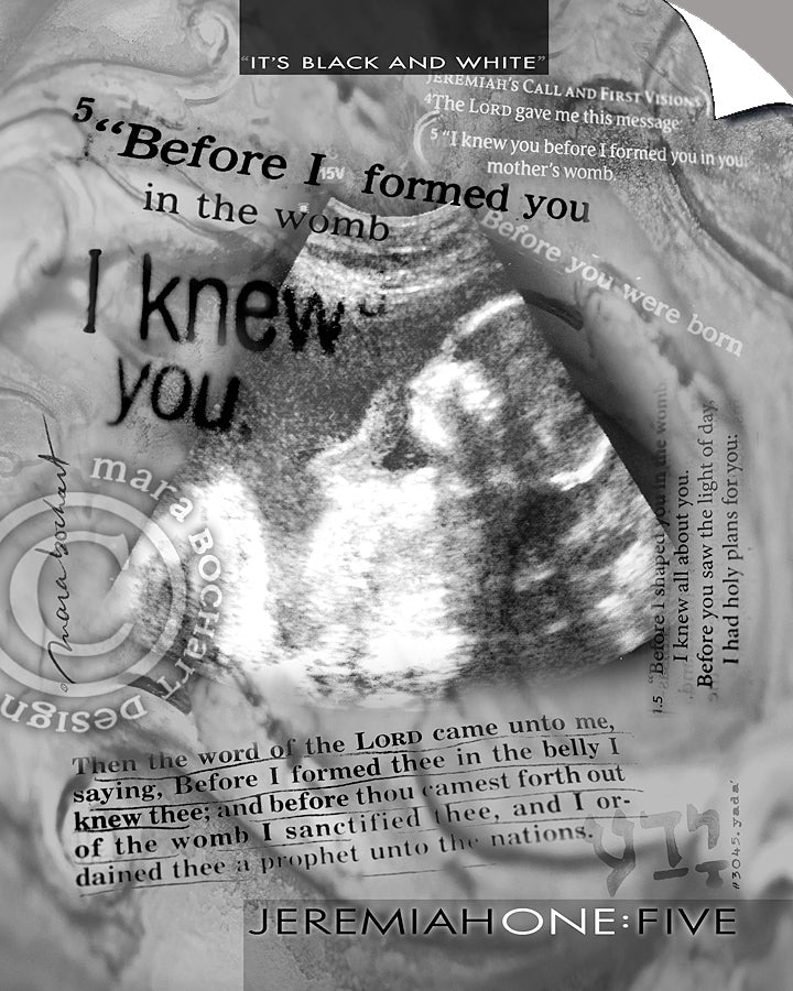 I Knew You - Peel & Stick