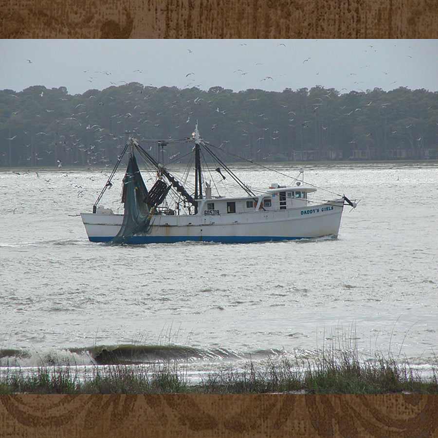 photo taken with zoom lens