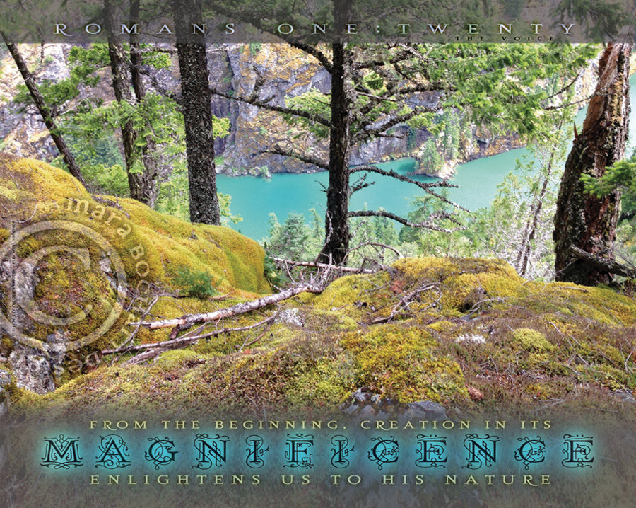 Magnificence - frameable print