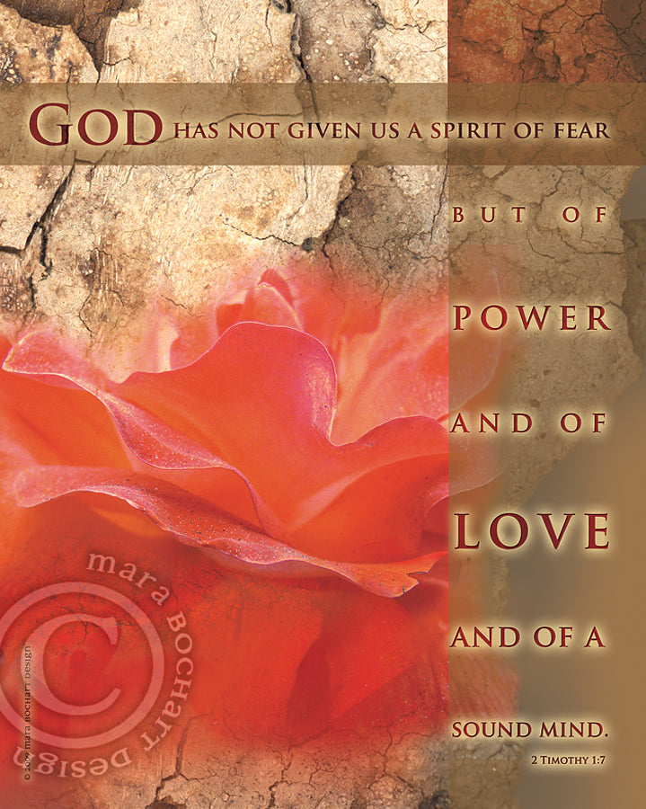 Rose No Fear - premium canvas