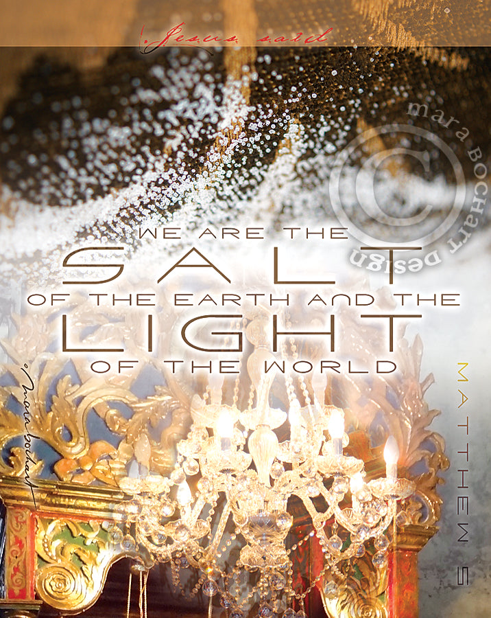 Salt and Light - premium canvas