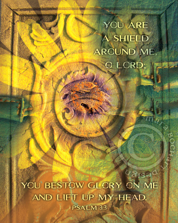 Shield Around Me - premium canvas