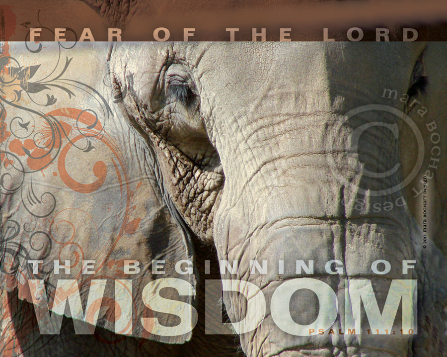 Wisdom - premium canvas